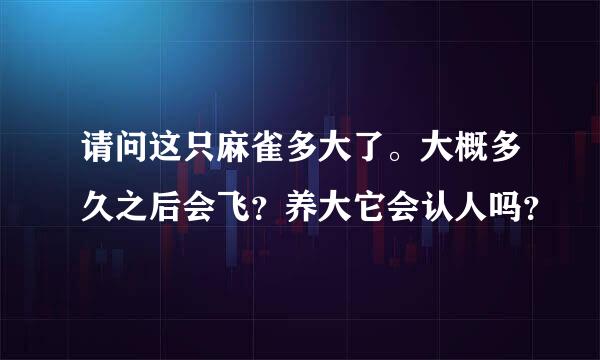 请问这只麻雀多大了。大概多久之后会飞？养大它会认人吗？