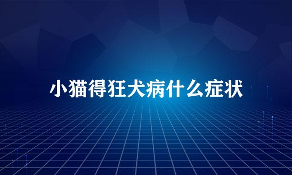 小猫得狂犬病什么症状