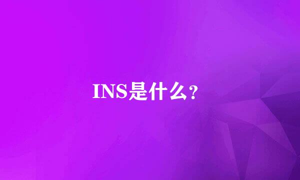 INS是什么？