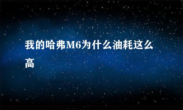 我的哈弗M6为什么油耗这么高