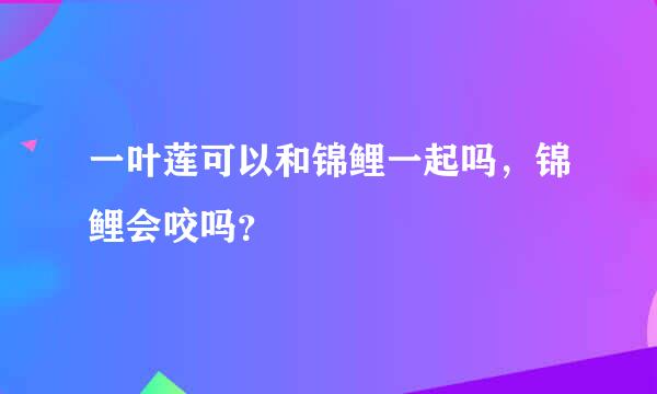 一叶莲可以和锦鲤一起吗，锦鲤会咬吗？