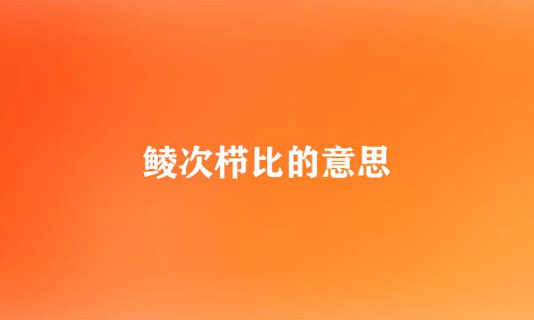 鲮次栉比的意思