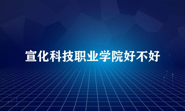 宣化科技职业学院好不好