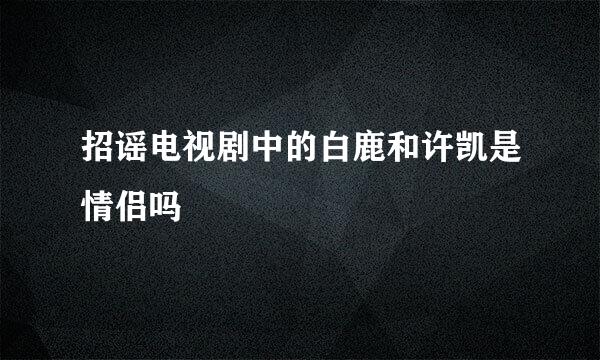 招谣电视剧中的白鹿和许凯是情侣吗