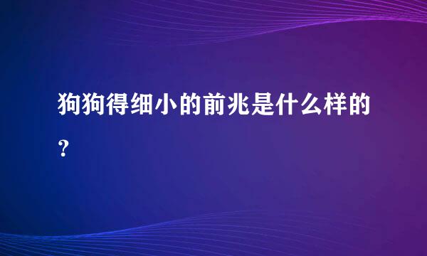 狗狗得细小的前兆是什么样的？