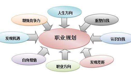 职业生涯规划专业技能怎么写？（名词）