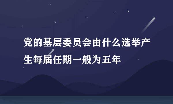 党的基层委员会由什么选举产生每届任期一般为五年