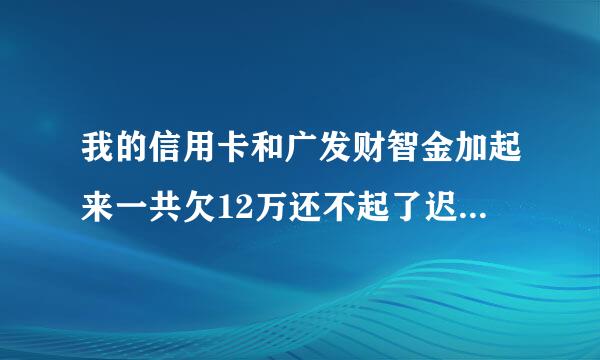 我的信用卡和广发财智金加起来一共欠12万还不起了迟纳金会翻到多少，判刑的话会判多少年