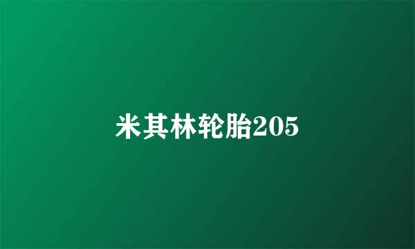 米其林轮胎205