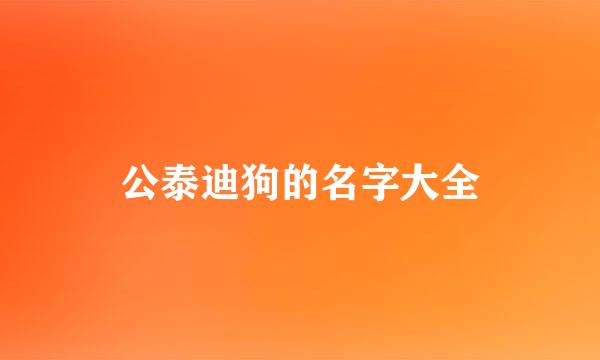 公泰迪狗的名字大全