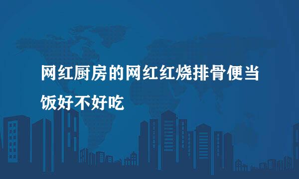 网红厨房的网红红烧排骨便当饭好不好吃