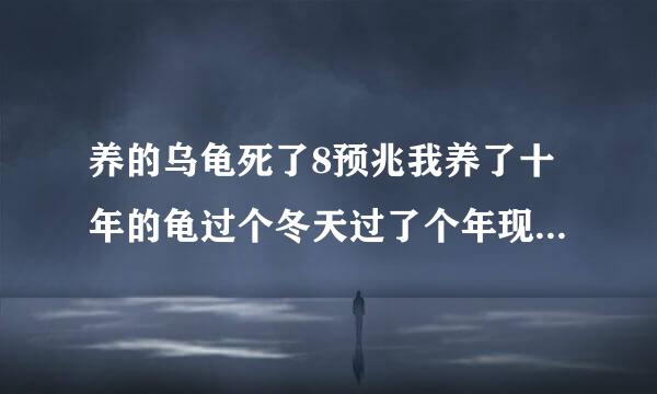 养的乌龟死了8预兆我养了十年的龟过个冬天过了个年现在怎么就死了呢眼睛都沉下去了不是死了吗