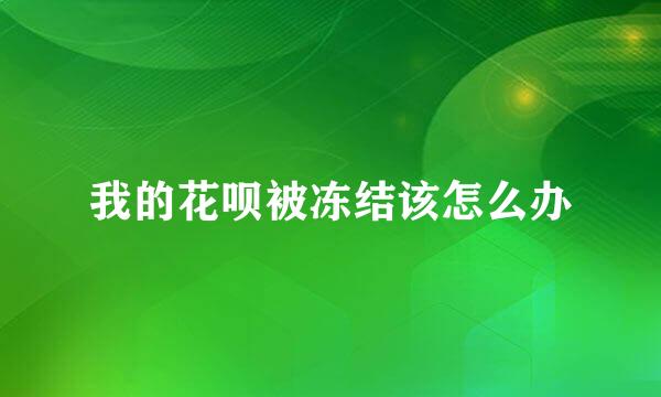 我的花呗被冻结该怎么办