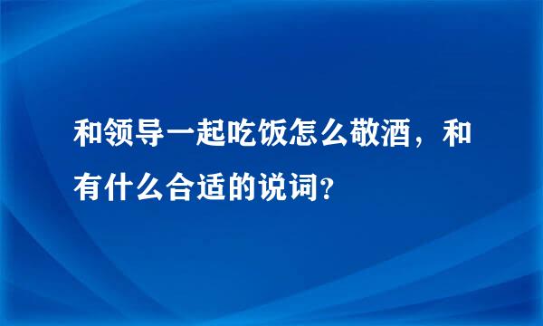 和领导一起吃饭怎么敬酒，和有什么合适的说词？