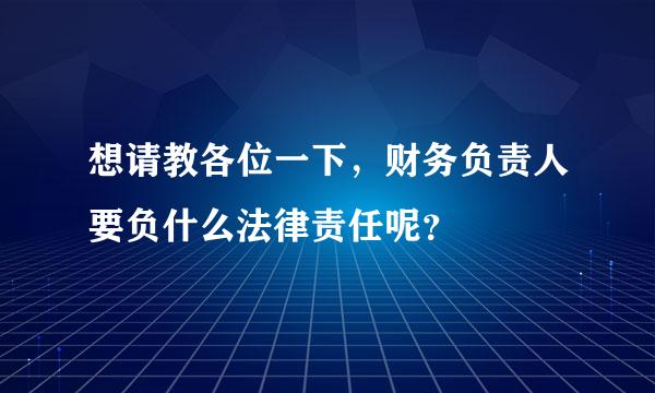 想请教各位一下，财务负责人要负什么法律责任呢？