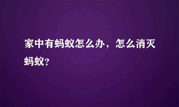 家中有蚂蚁怎么办，怎么消灭蚂蚁？