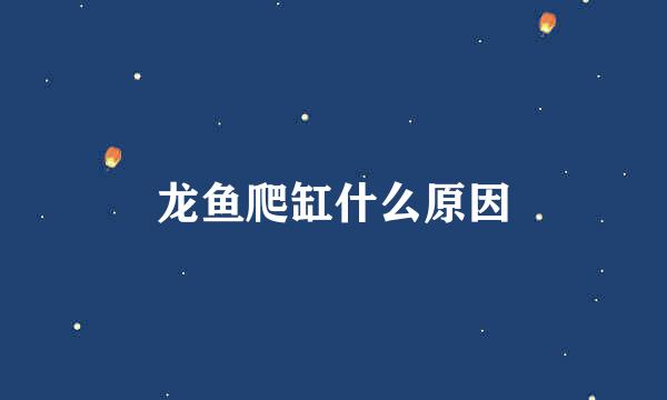 龙鱼爬缸什么原因