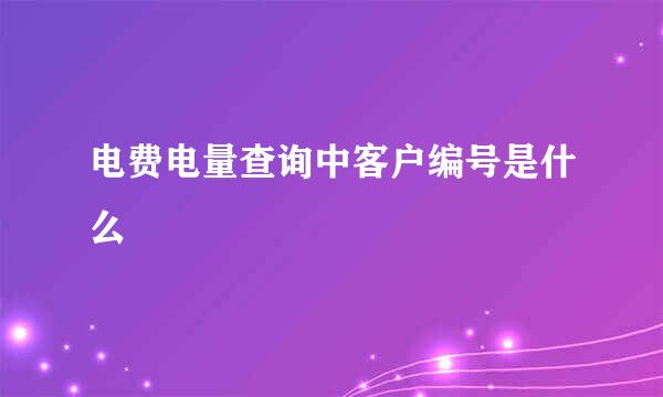 电费电量查询中客户编号是什么