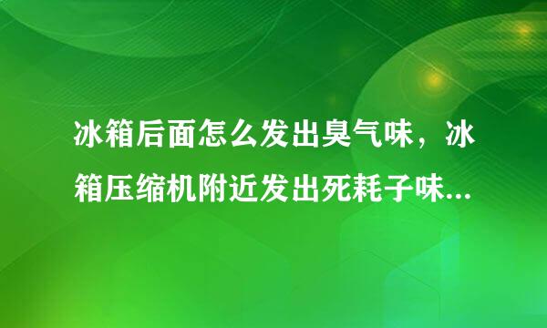 冰箱后面怎么发出臭气味，冰箱压缩机附近发出死耗子味道，接水盘也清理过了，附近也没有小动物尸体。