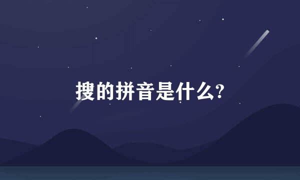 搜的拼音是什么?