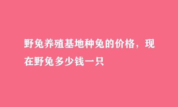 野兔养殖基地种兔的价格，现在野兔多少钱一只