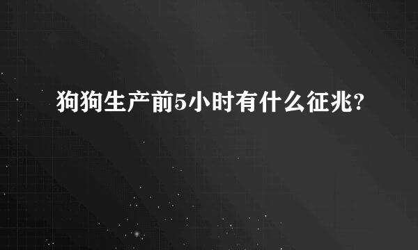 狗狗生产前5小时有什么征兆?