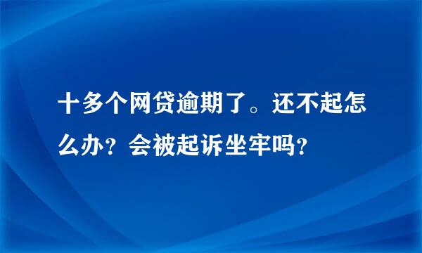 十多个网贷逾期了。还不起怎么办？会被起诉坐牢吗？