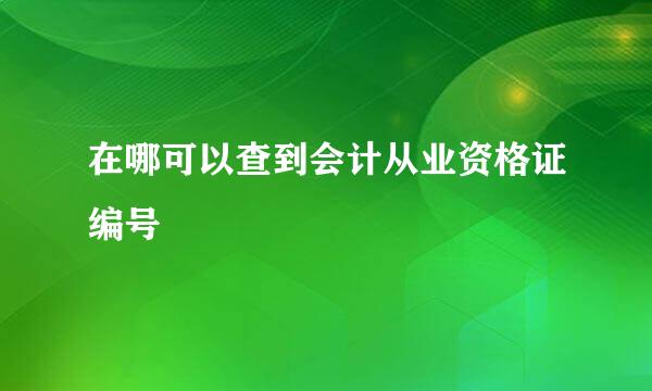 在哪可以查到会计从业资格证编号