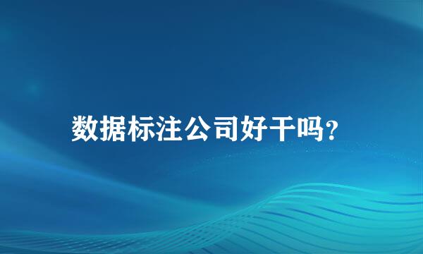 数据标注公司好干吗？