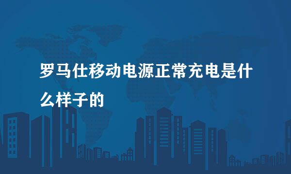 罗马仕移动电源正常充电是什么样子的