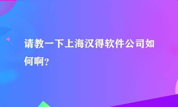 请教一下上海汉得软件公司如何啊？