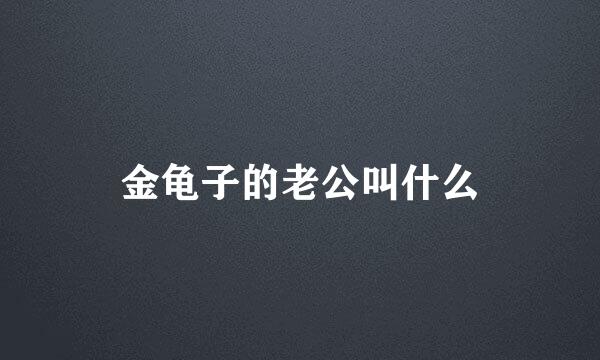 金龟子的老公叫什么