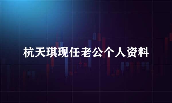 杭天琪现任老公个人资料