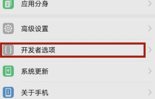 手机开发人员选项怎么打开？