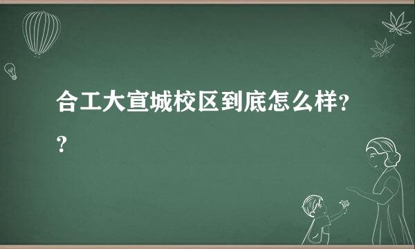 合工大宣城校区到底怎么样？？