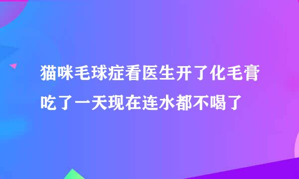 猫咪毛球症看医生开了化毛膏吃了一天现在连水都不喝了