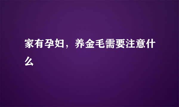 家有孕妇，养金毛需要注意什么