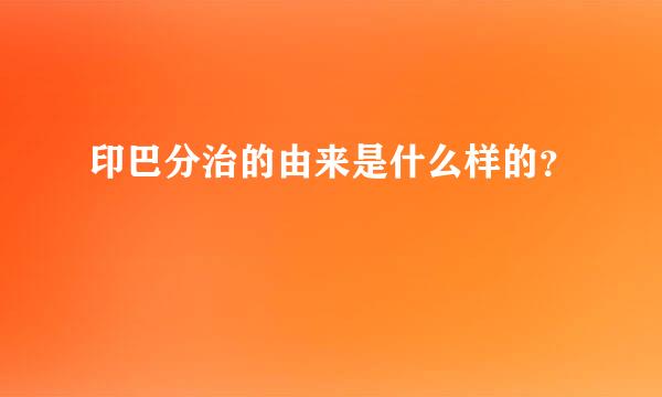 印巴分治的由来是什么样的？