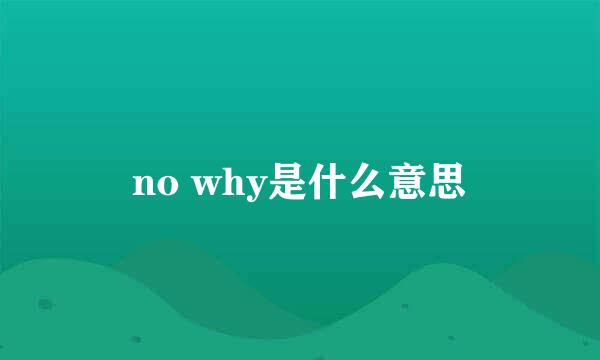 no why是什么意思