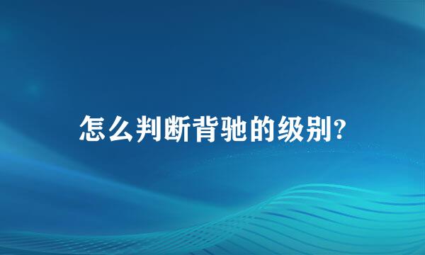 怎么判断背驰的级别?