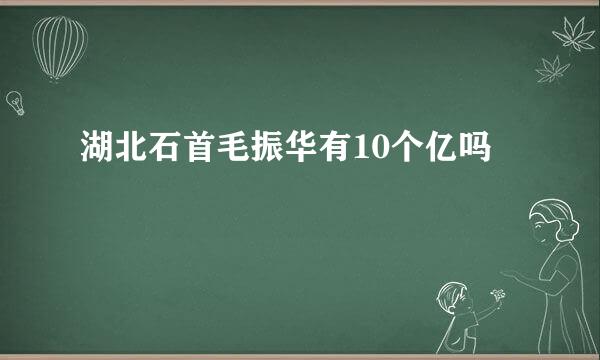 湖北石首毛振华有10个亿吗