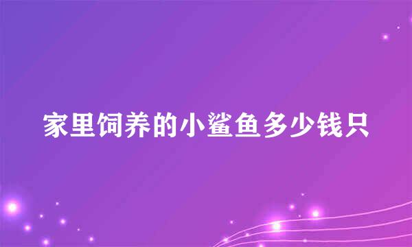 家里饲养的小鲨鱼多少钱只