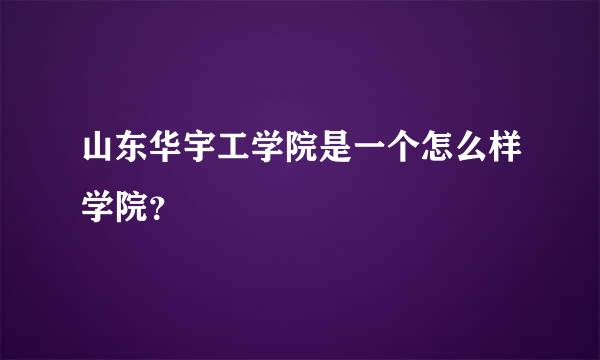 山东华宇工学院是一个怎么样学院？