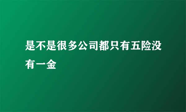 是不是很多公司都只有五险没有一金