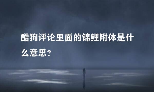 酷狗评论里面的锦鲤附体是什么意思？