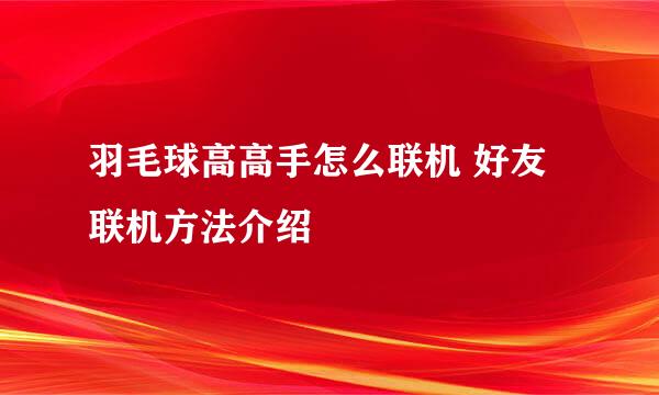 羽毛球高高手怎么联机 好友联机方法介绍