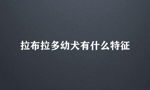 拉布拉多幼犬有什么特征