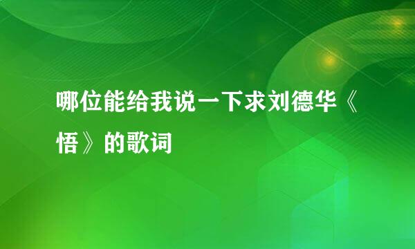 哪位能给我说一下求刘德华《悟》的歌词