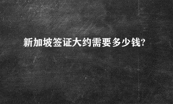 新加坡签证大约需要多少钱?