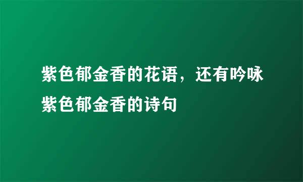 紫色郁金香的花语，还有吟咏紫色郁金香的诗句